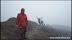 Mount Raung Volcano DSC07119.jpg