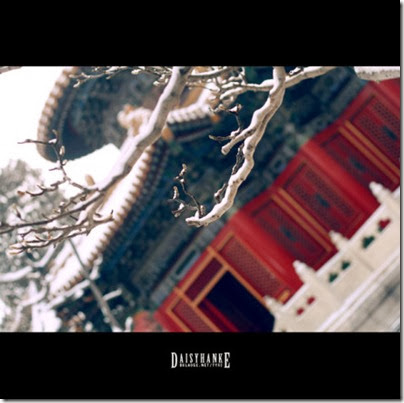 Forbidden City in Snow 故宮下雪  04