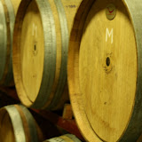 Mega Martinovanje 09