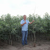 Tweejarige appelbomen met Guus van Montfort AV2013_09_06_02.JPG