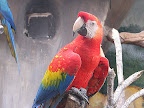 p1235399291(13).jpg