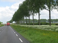 IMG_7790 IMG_7790