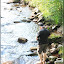 – Tom beim Fotografieren – Tom beim Fotografieren