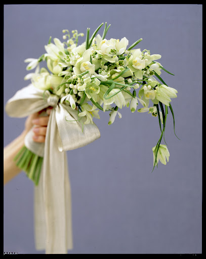 Their delicate nature and white coloring make snowdrops an excellent choice for bouquets.
