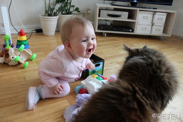 [IMG_2866%255B3%255D.jpg]