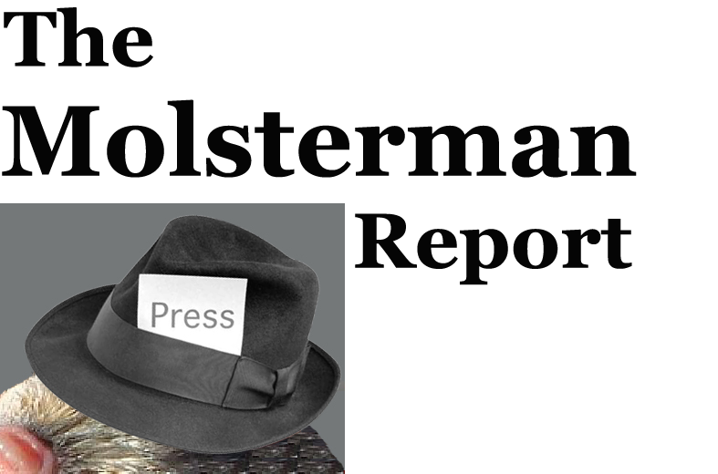 [the%2520molsterman%2520report%2520copy%255B3%255D.png]