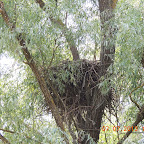 DSCN9677.JPG