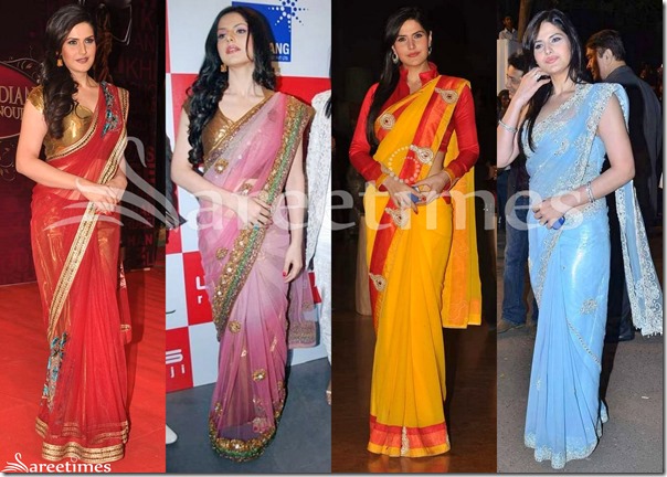 Zarine_Khan_Sarees(1)