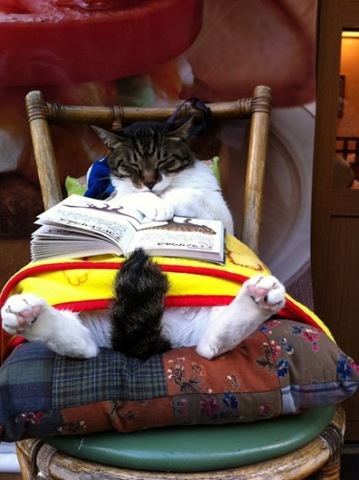 [viral-picdump-pics-64c15a%255B2%255D.jpg]