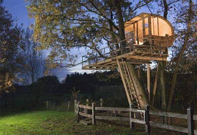 Amazing Tree Houses