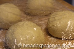 pumpkin-knot-yeast-rolls_1581
