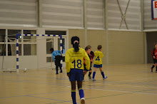 SEIZOEN 2012-2013 - WVV E3 - 02 FEB - WVV E3 - Zaalcompetitie