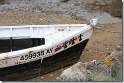 boot7