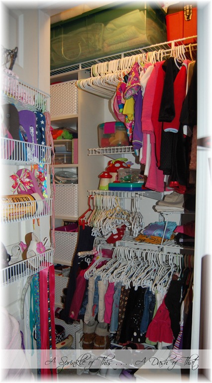 [Child%2520Closet%2520After%2520%257BA%2520Sprinkle%2520of%2520This%2520.%2520.%2520.%2520.%2520A%2520Dash%2520of%2520That%257D%255B4%255D.jpg]