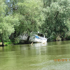 IMG_7705.JPG