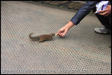 IMG_7342 IMG_7342