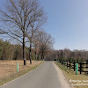 dsc07463.jpg
