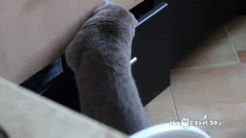 [clip_image011%255B4%255D.gif]