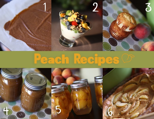 [6%2520Peach%2520Recipes%255B3%255D.jpg]