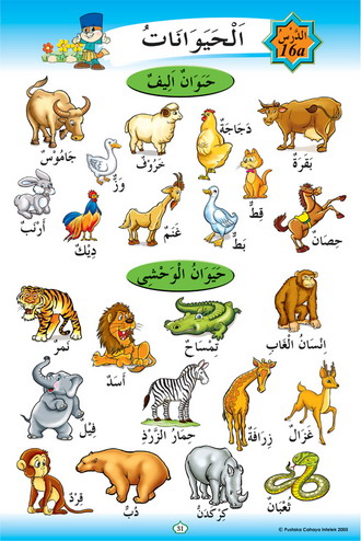 Blog Panitia Bahasa Arab Haiwan Yang Jinak Dan Liar