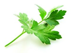 parsley