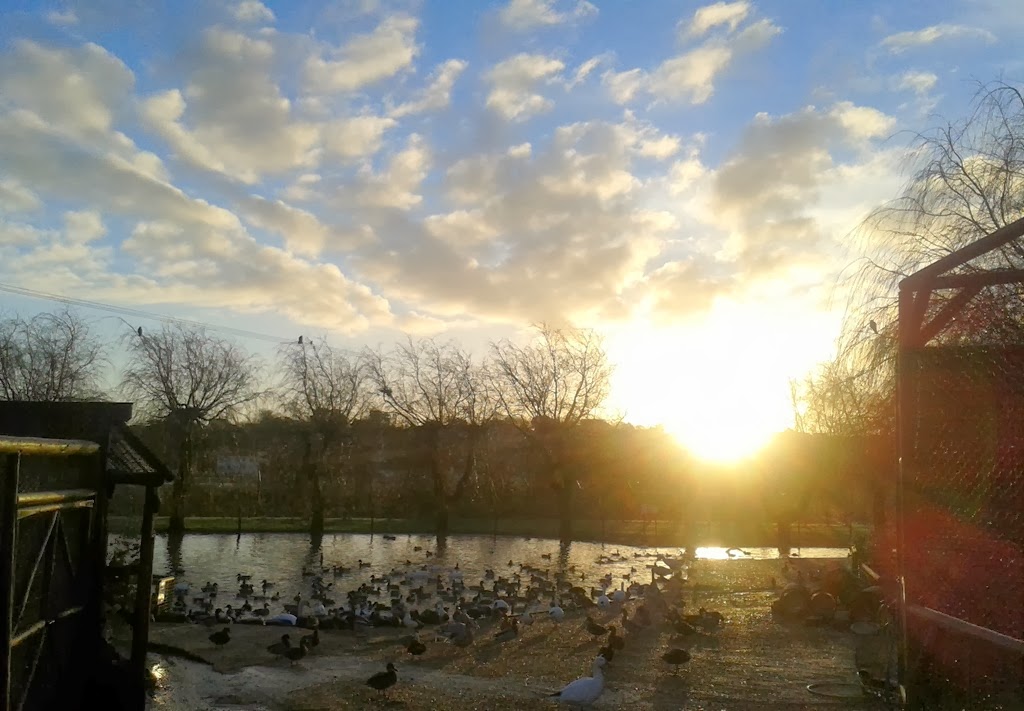 [20131226_084307-001%255B6%255D.jpg]