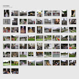BLG_09-08-2007