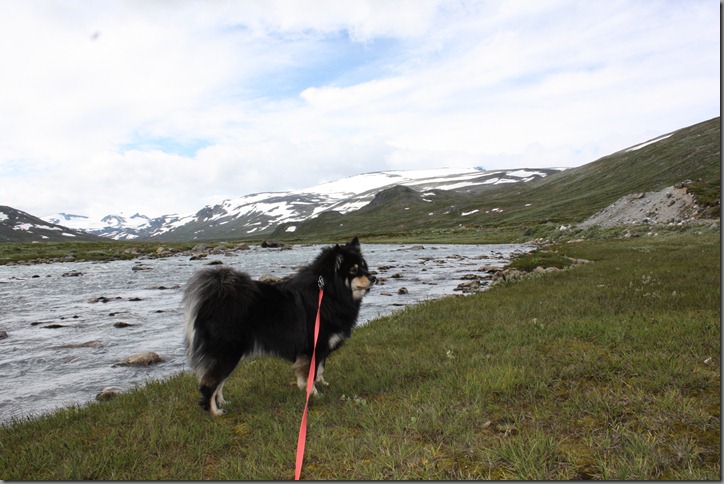 fjelltur 133 fjelltur 133