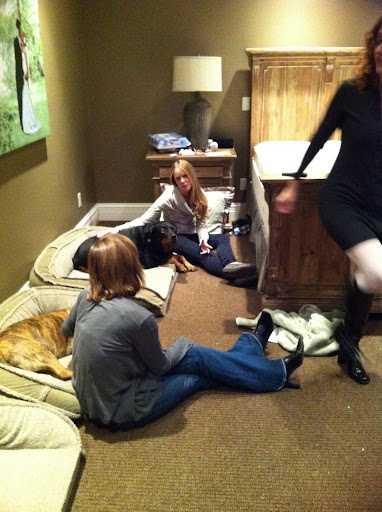 We all recount the previous evenings events as we relax with the reunited pooches.