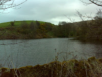 DSC00532.JPG Photo
