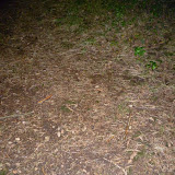 P1050569.JPG