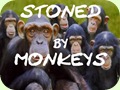 Stoned by Monkeys