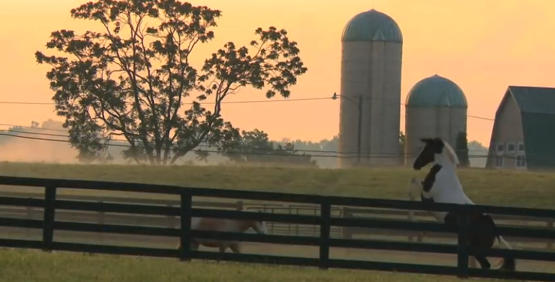 [Screenshot%2520Studio%2520capture%2520%25231925%255B6%255D.png]