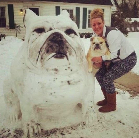 snow_pug snow_pug