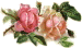 romantic-pink-roses_thumb[7]