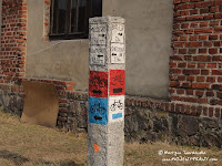 dsc06993.jpg