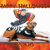 Marlee & Max at Halloween