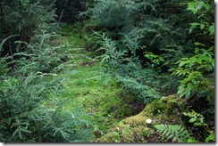 IMG_1002 IMG_1002