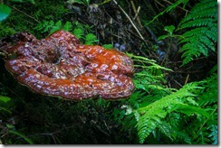IMG_1038 IMG_1038