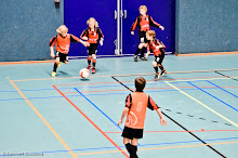 2012127 - WVV F1 - Scheemda Zaaltoernooi - 028.jpg