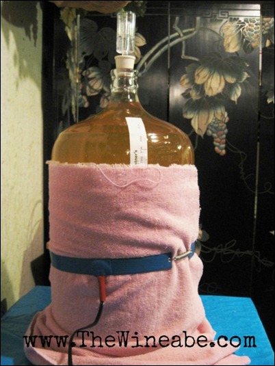 wine carboy warming make wine