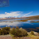 Arica - Parque Nacional Lauca (26 de 48).jpg