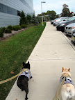 Hurry up, Sharkey - we don't want to be late for our call time.