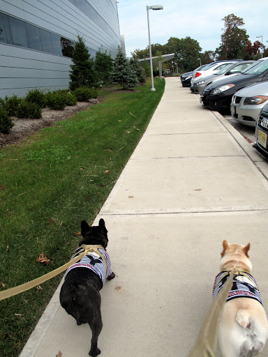 Hurry up, Sharkey - we don't want to be late for our call time.