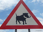 Achtung Warzenschwein