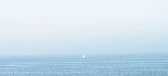IMG_1470 IMG_1470