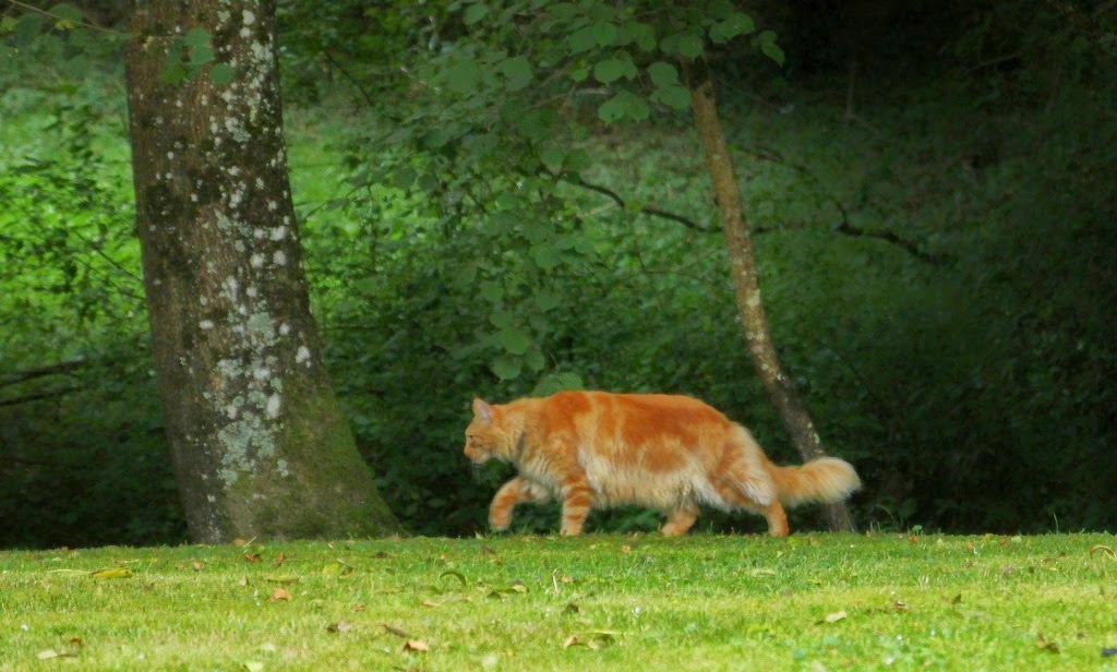 [IMG_9852%255B3%255D.jpg]