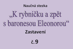 Station Nr. 9 Eleonore sprucht mit dem Förster über Schlosswälder

Frage Nr. 9.:
Was für Bäume wachsen auf den Hängen von Velký Špičák? Alle beginnen mit einem Selbstlaut. Ahorne, …. und …