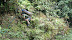 DSC04267.JPG