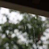 IMG_6447.JPG